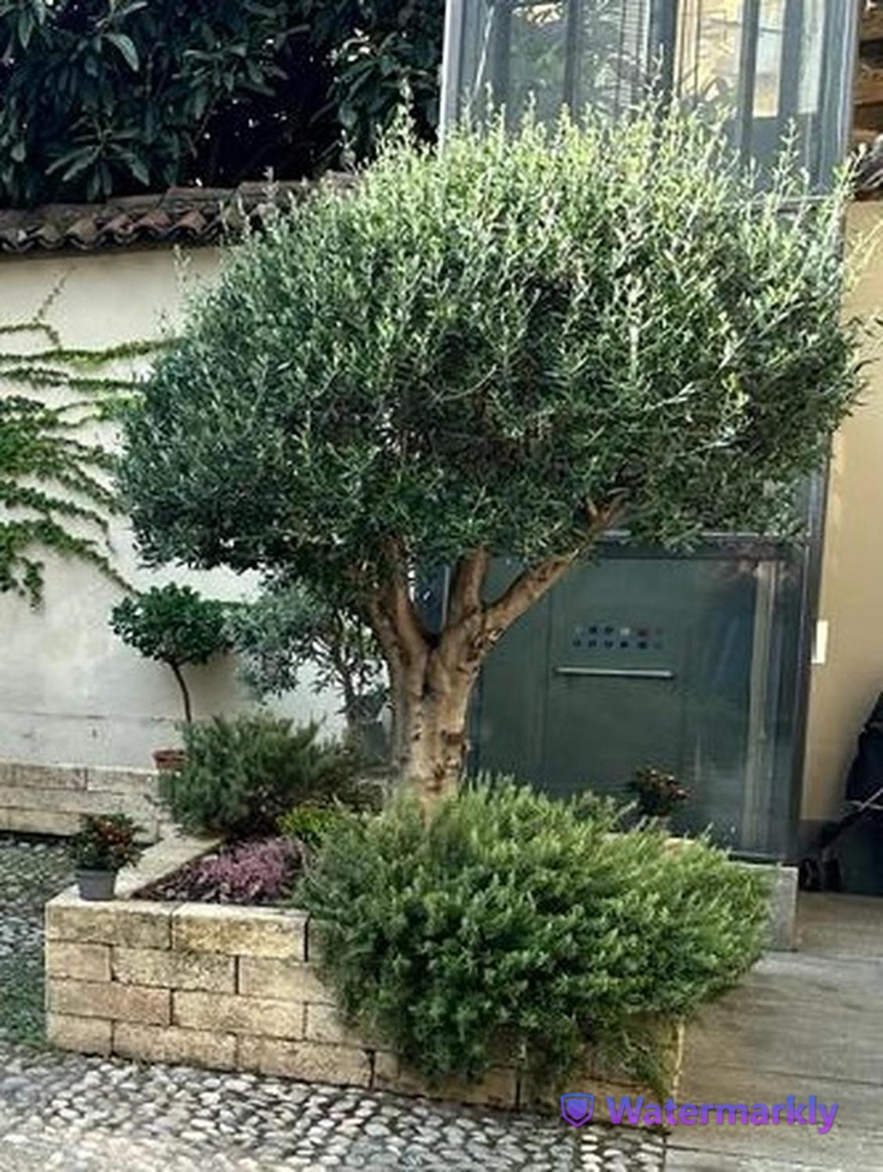 Le Tre Ca', Ca' Cecilia, Ca' Nina, Ca' Vittoria Asti Exterior foto